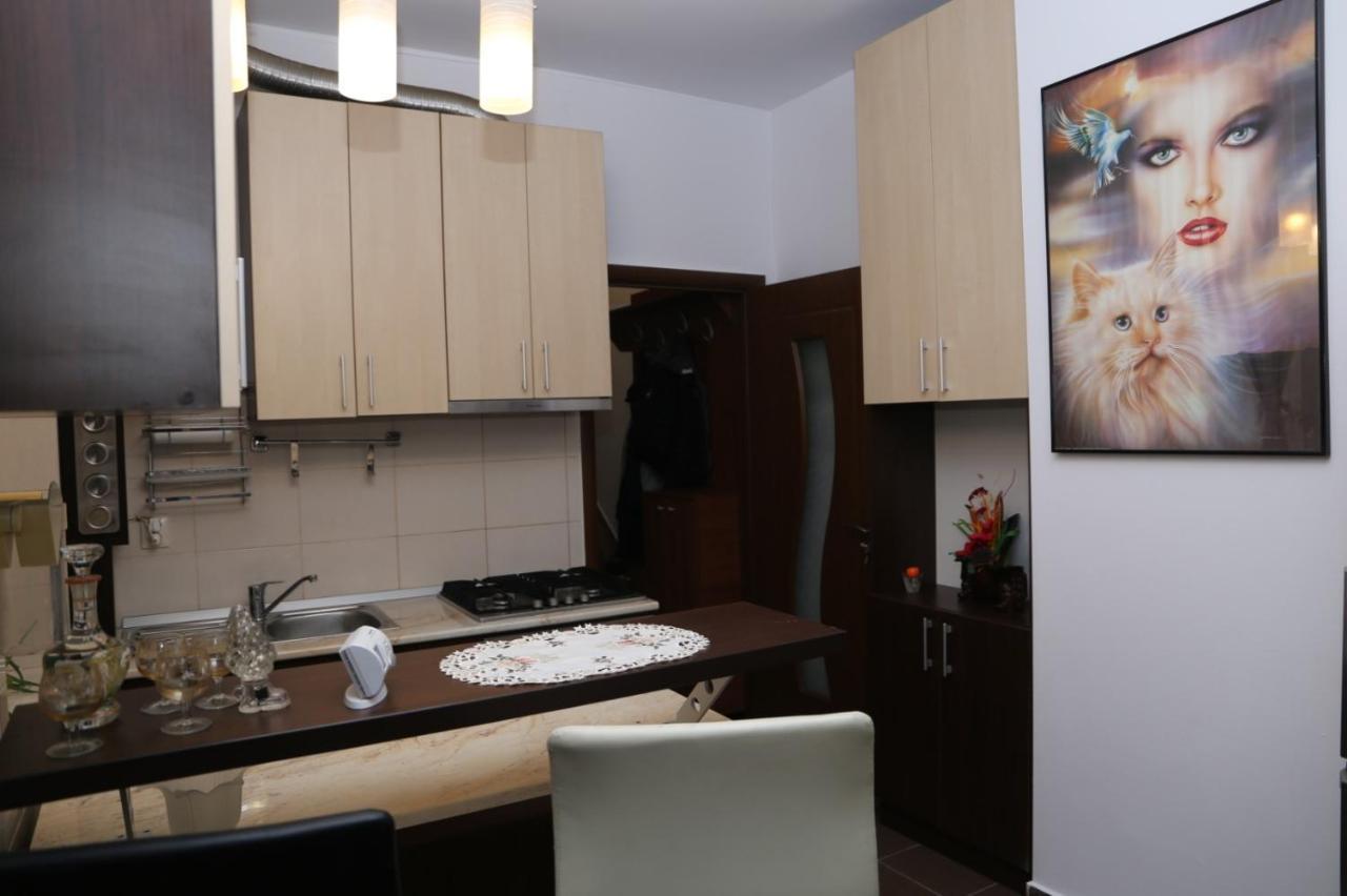 Balcescu Alina'S Apartament Сібіу Екстер'єр фото