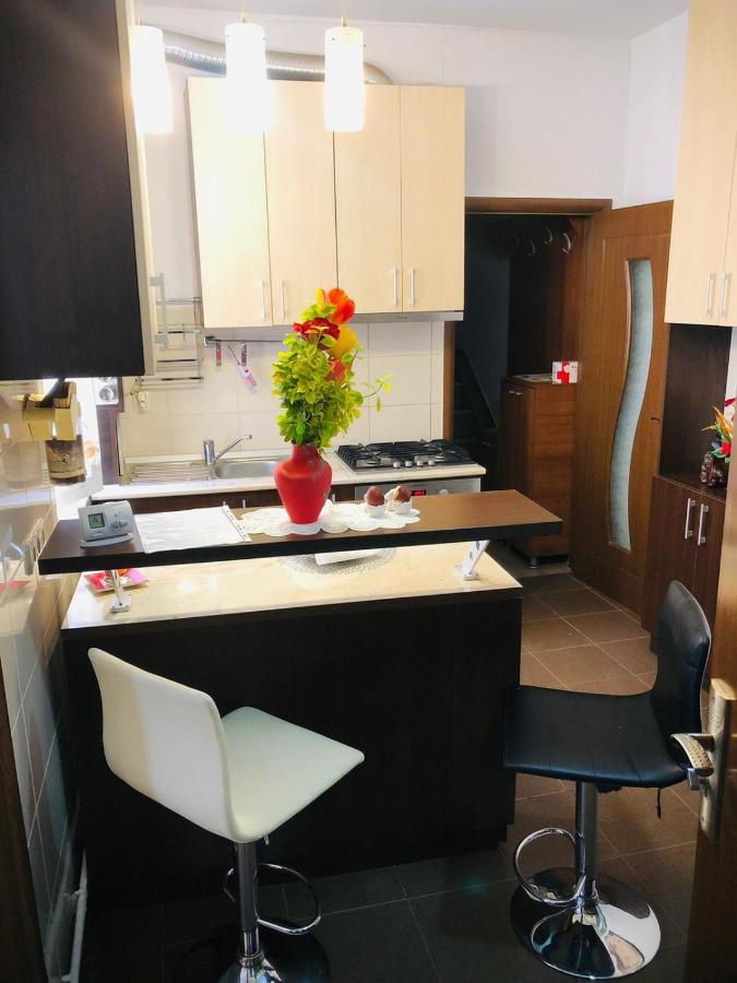 Balcescu Alina'S Apartament Сібіу Екстер'єр фото